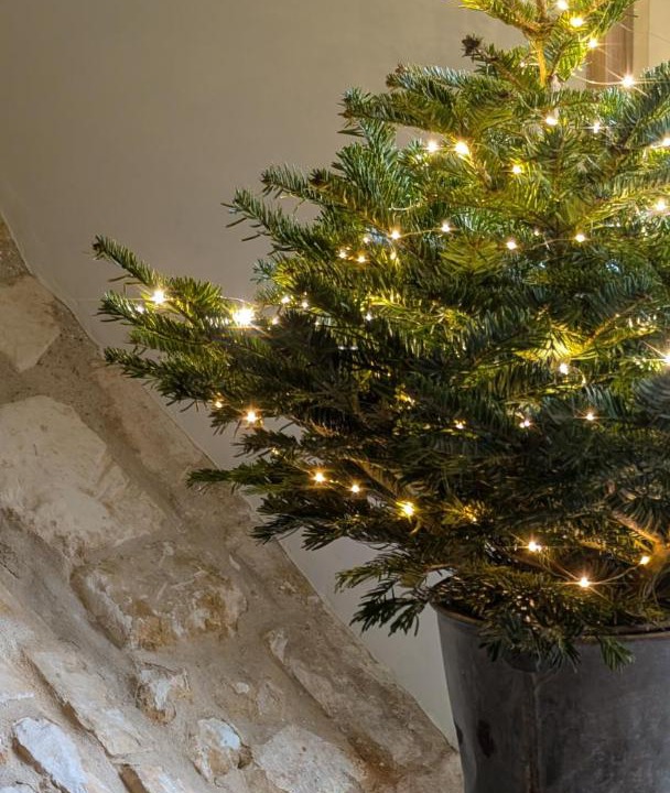 Photo of Others in Montcavrel