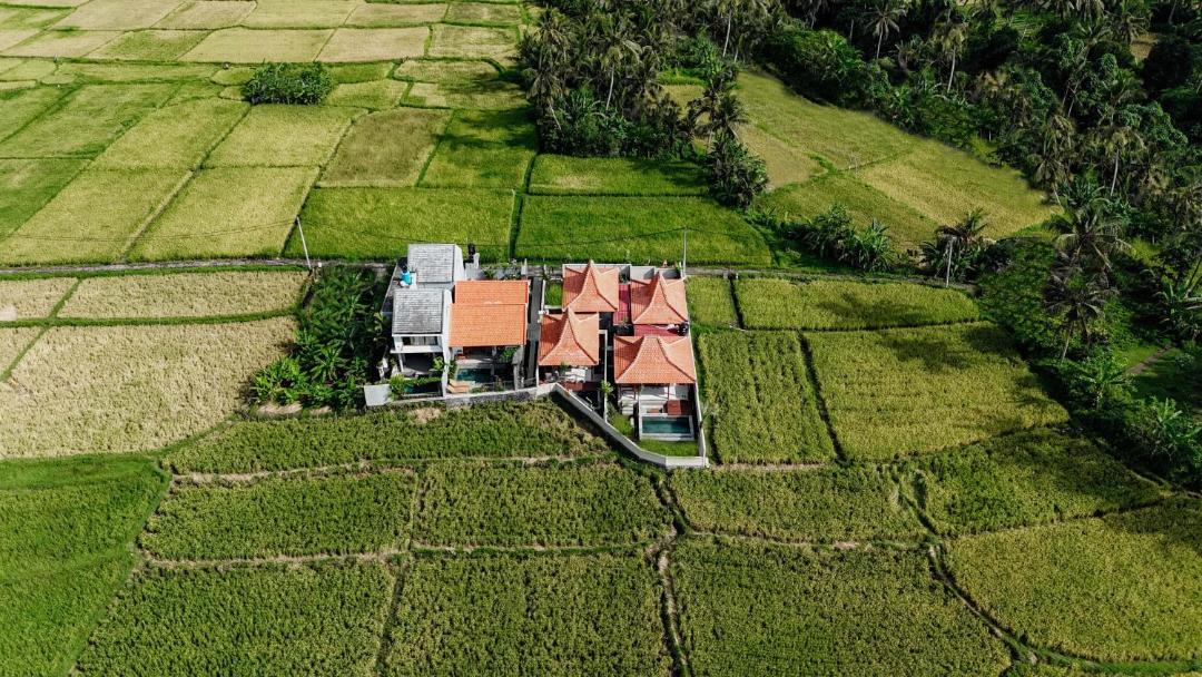 Photo of Others in Peliatan