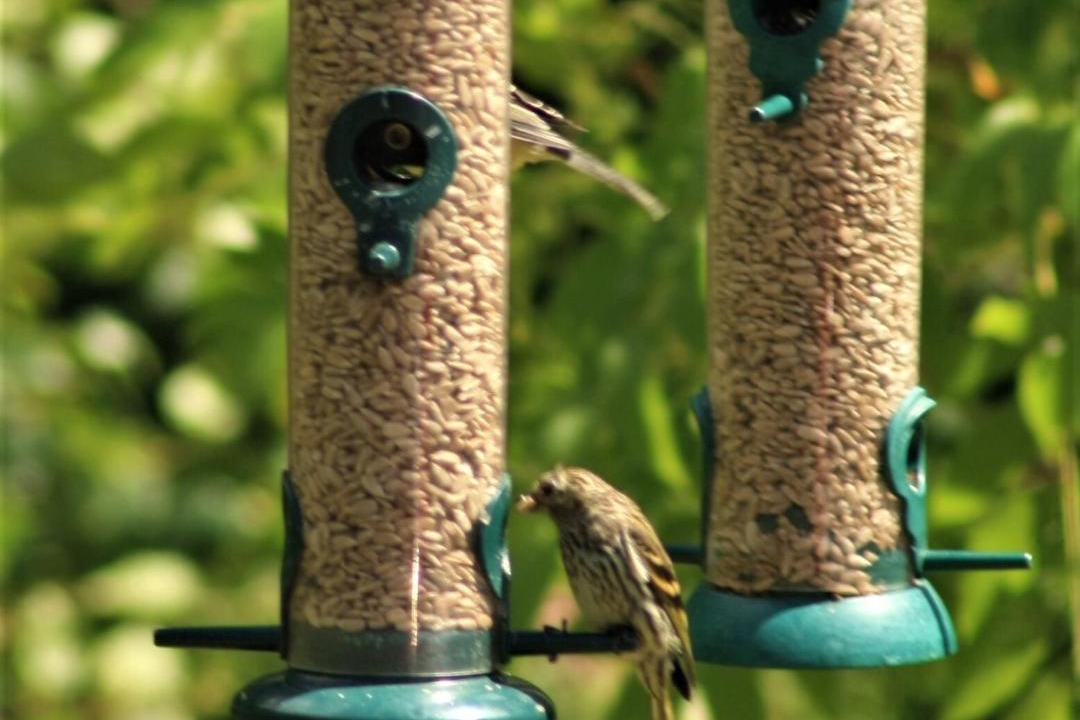 Photo of Others in Ryther