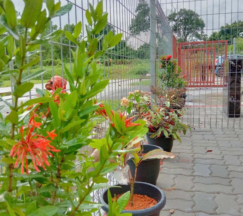 Photo of Outdoor in Si Rusa