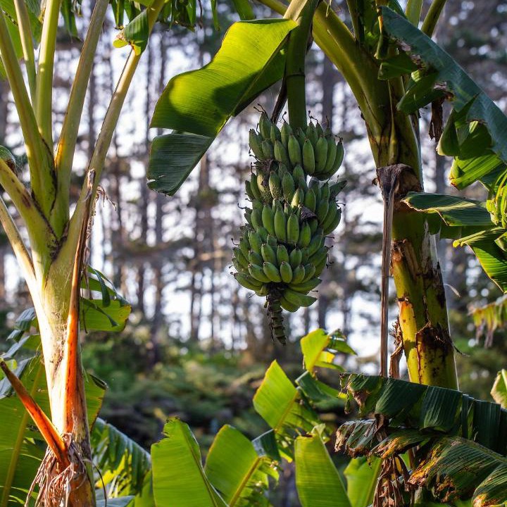 Photo of Others in Onerahi