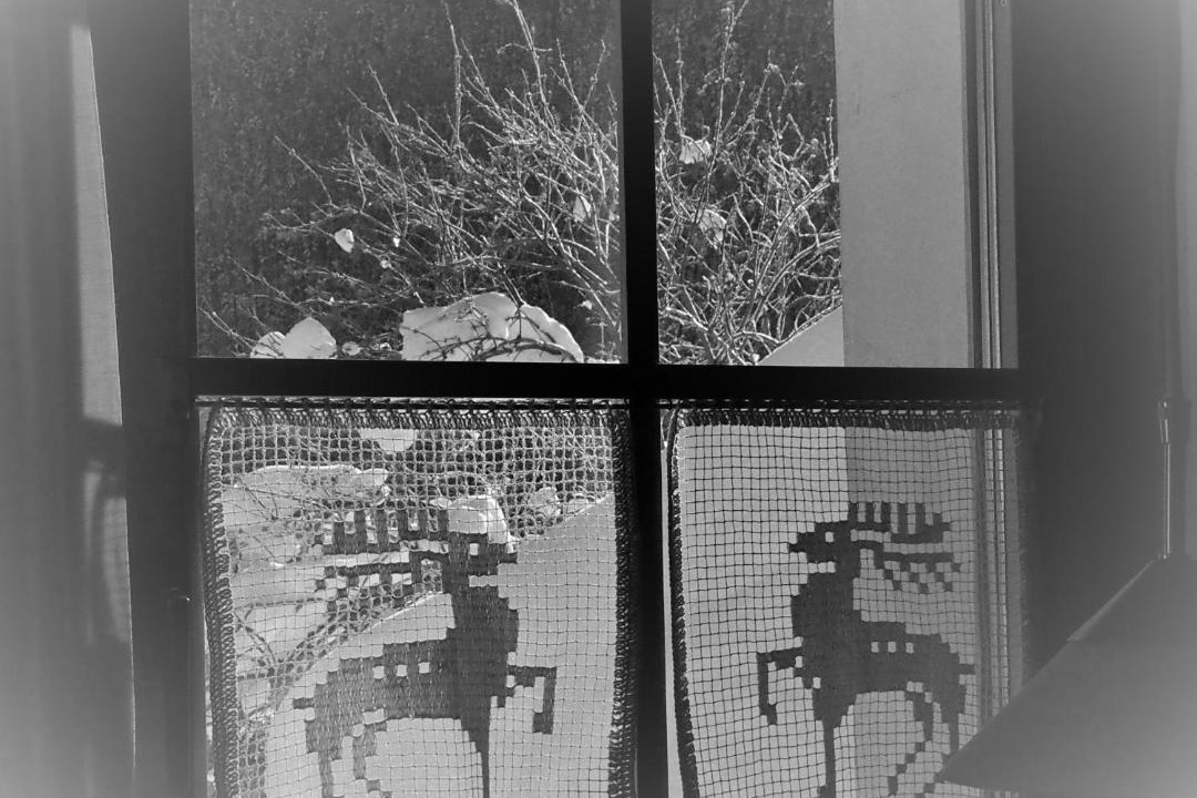 Photo of Others in Brail