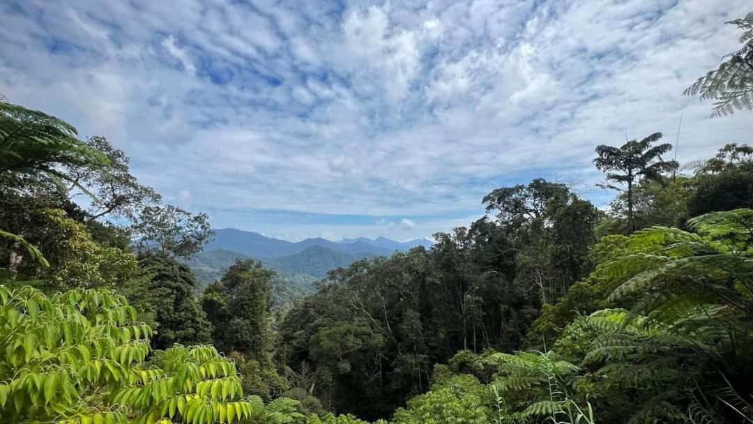 Photo of Others in Bukit Fraser