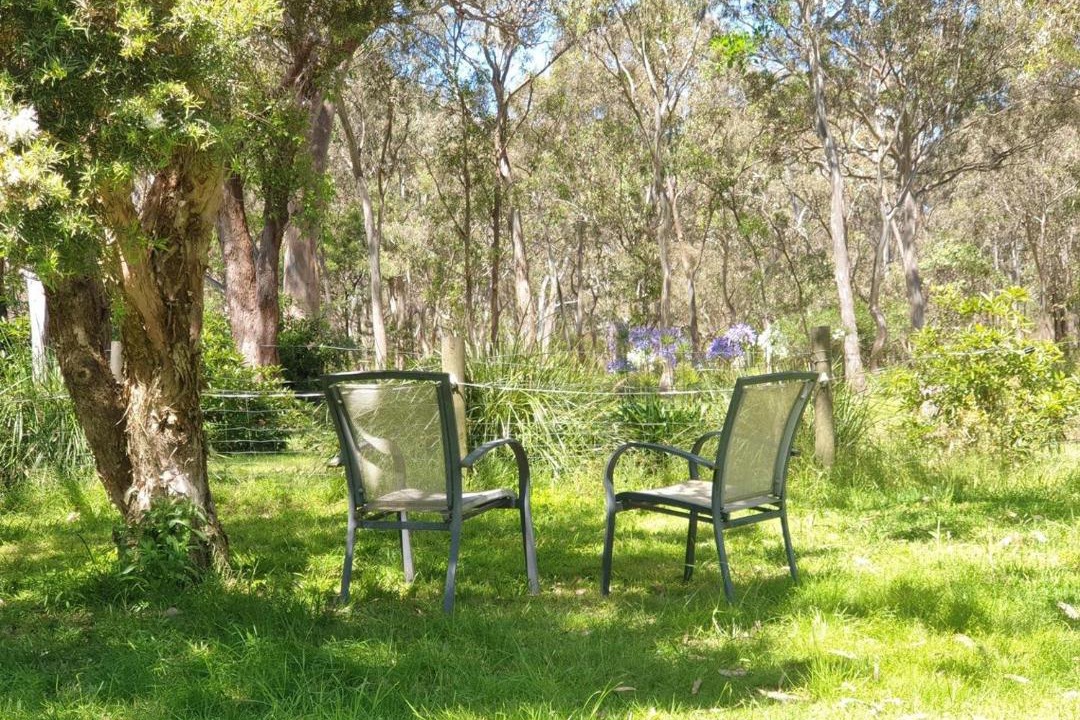 Photo of Others in Raymond Island