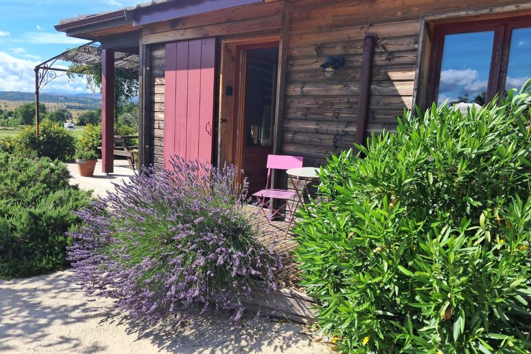 Photo of Others in Rogues