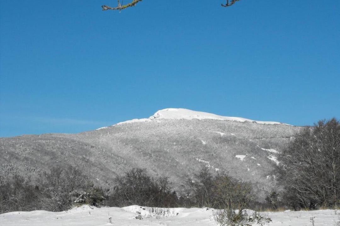 Photo of Others in Vassieux-en-Vercors