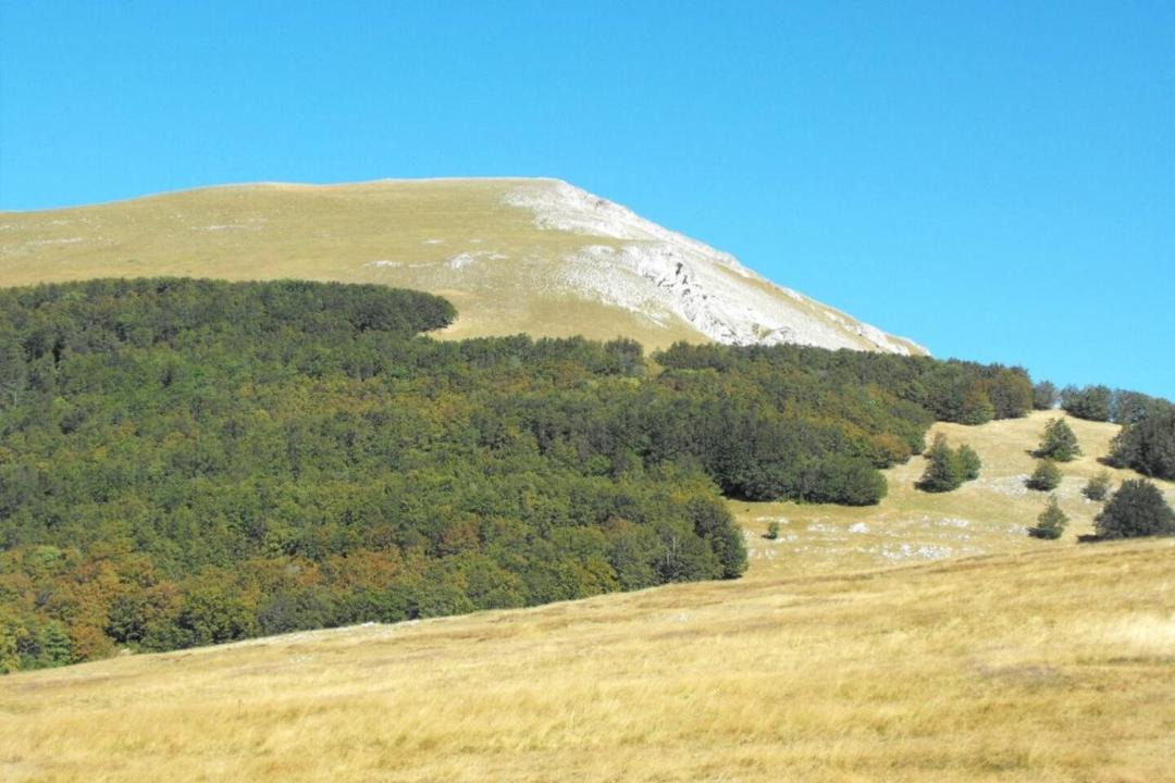 Photo of Others in Vassieux-en-Vercors