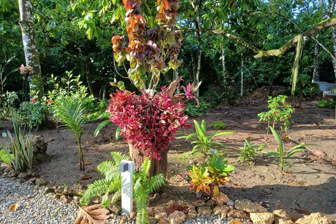 Photo of Others in Villa Riva