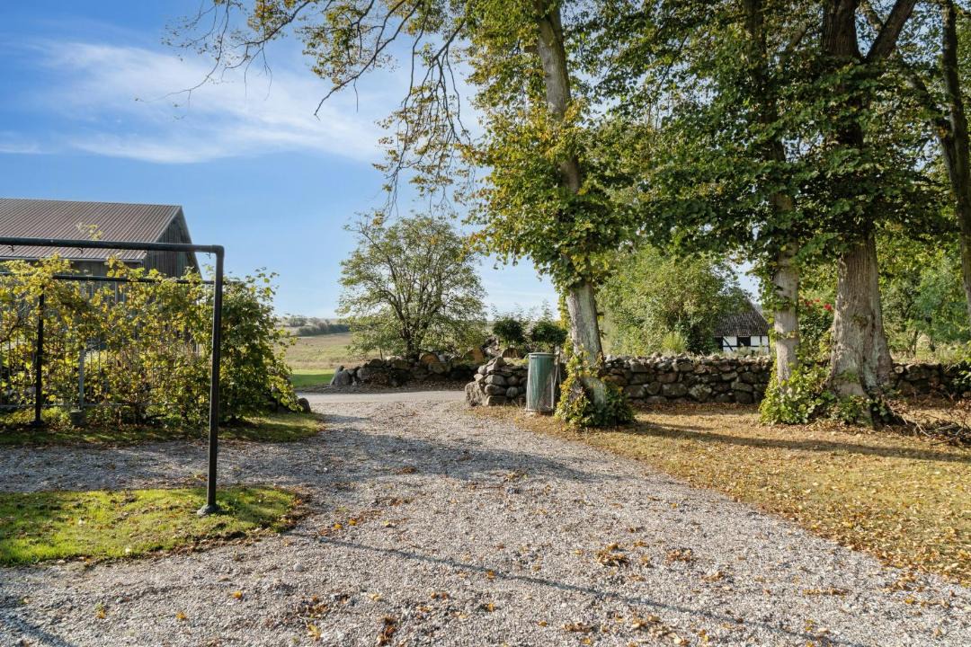 Photo of Others in Lyo By