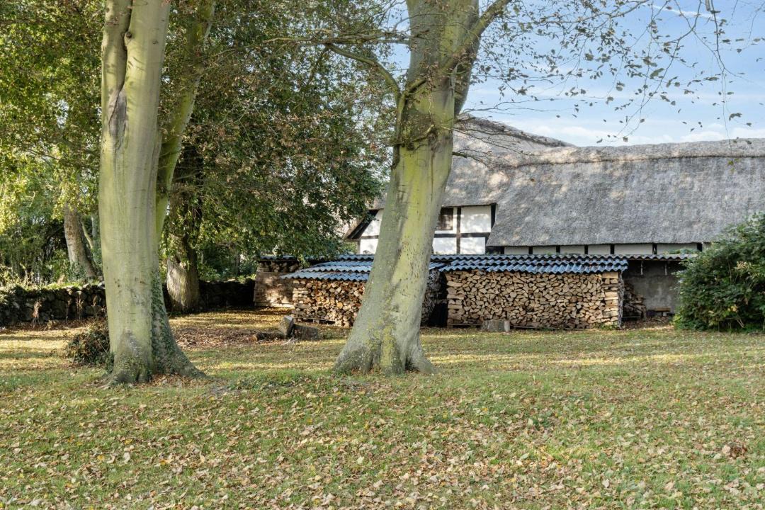 Photo of Others in Lyo By