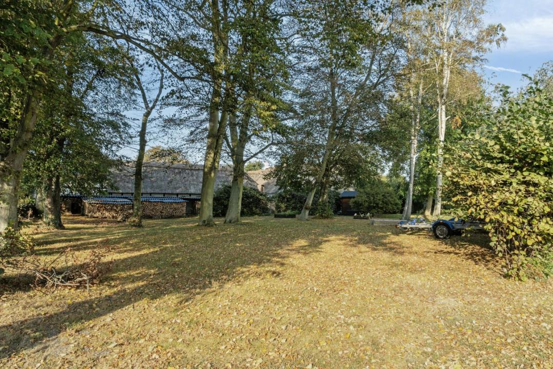 Photo of Others in Lyo By