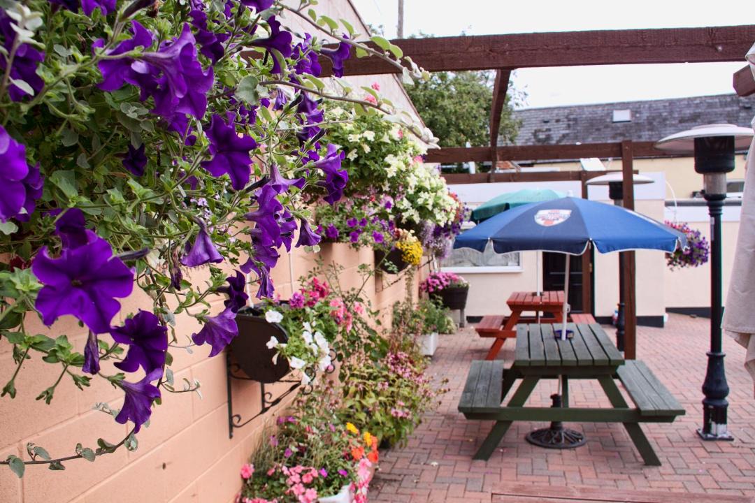 Photo of Others in Harrington