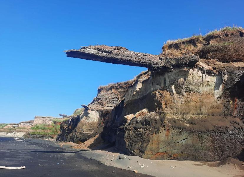 Photo of Others in Waverley