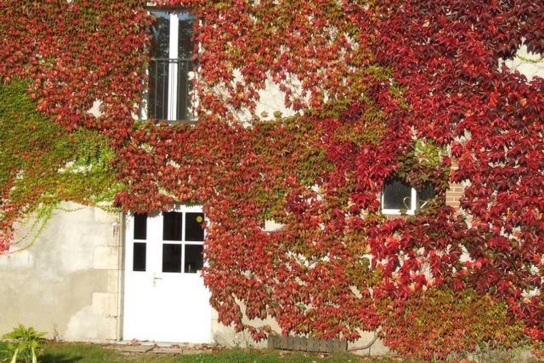Photo of Others in Ouzouer-sur-Trezee