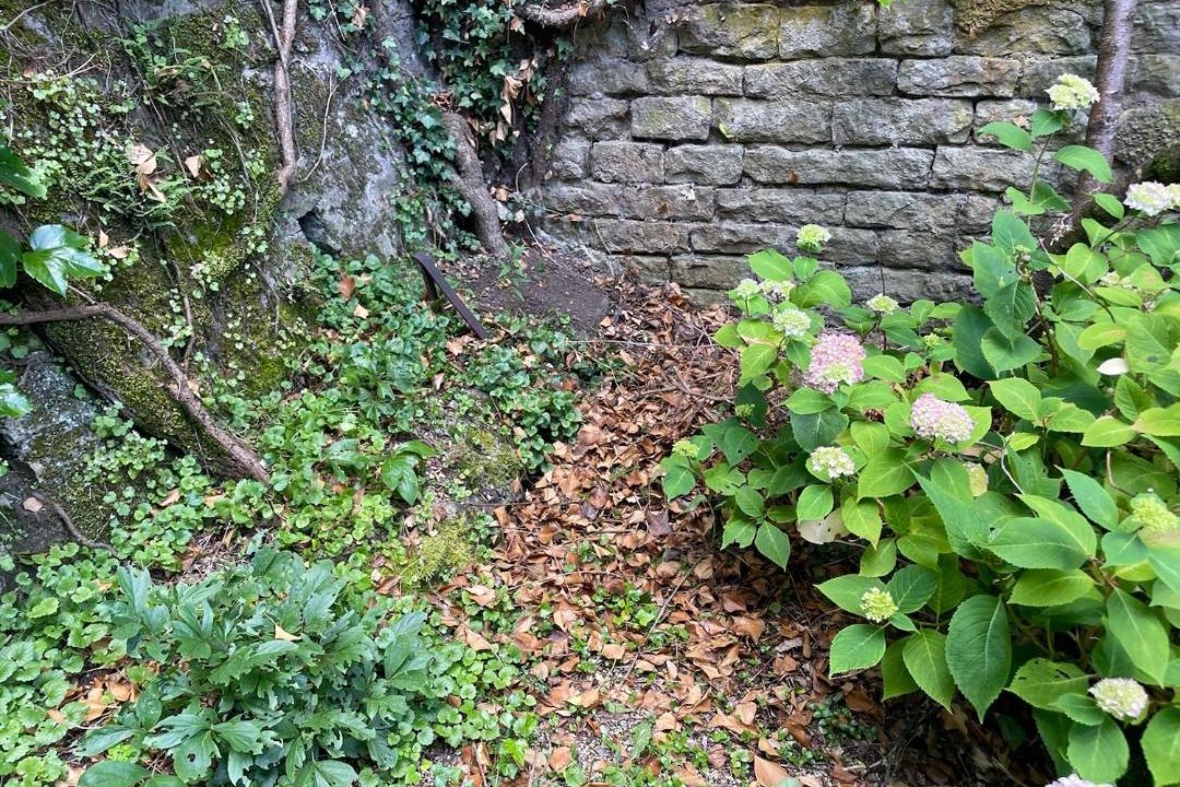 Photo of Outdoor in Forges-les-Bains