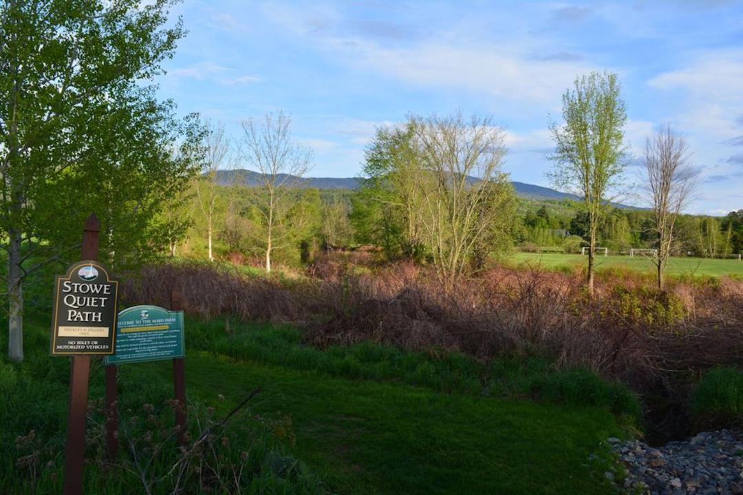 Photo of Others in Stowe Area