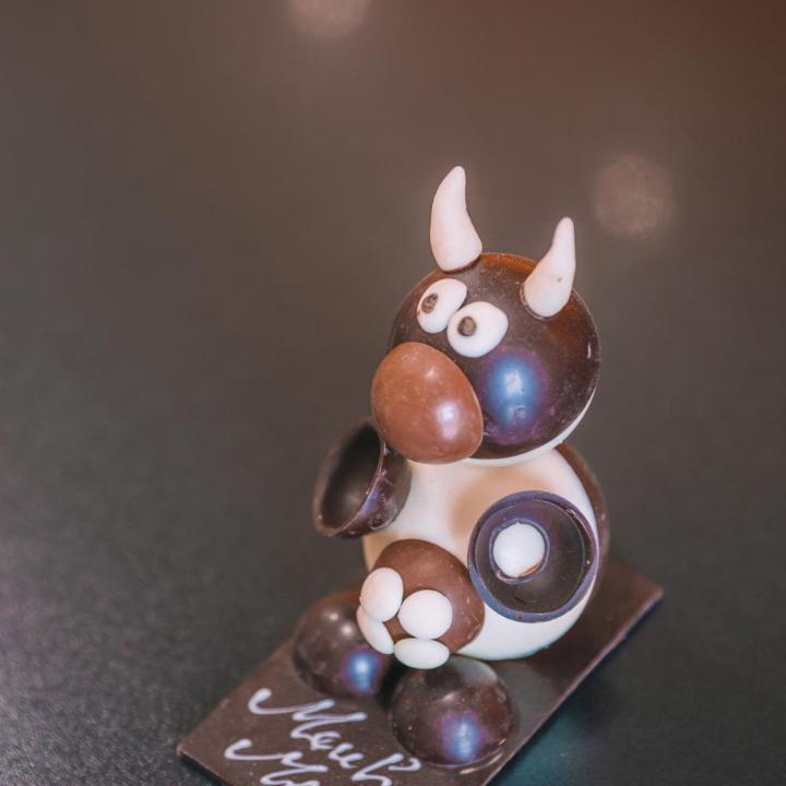 Photo of Others in La Chapelle-Blanche-Saint-Martin