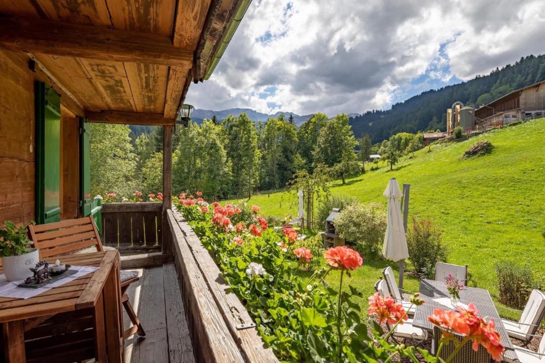 Photo of Others in Lenk