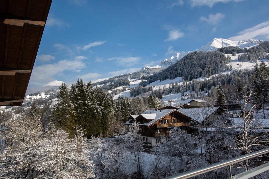 Photo of Others in Adelboden