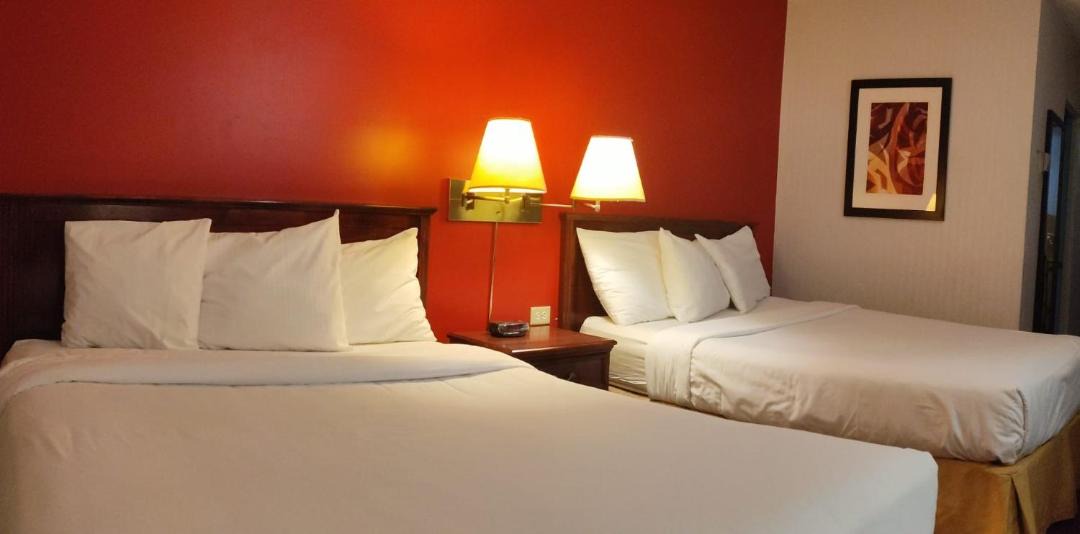 Photo of Others in Banff Trail