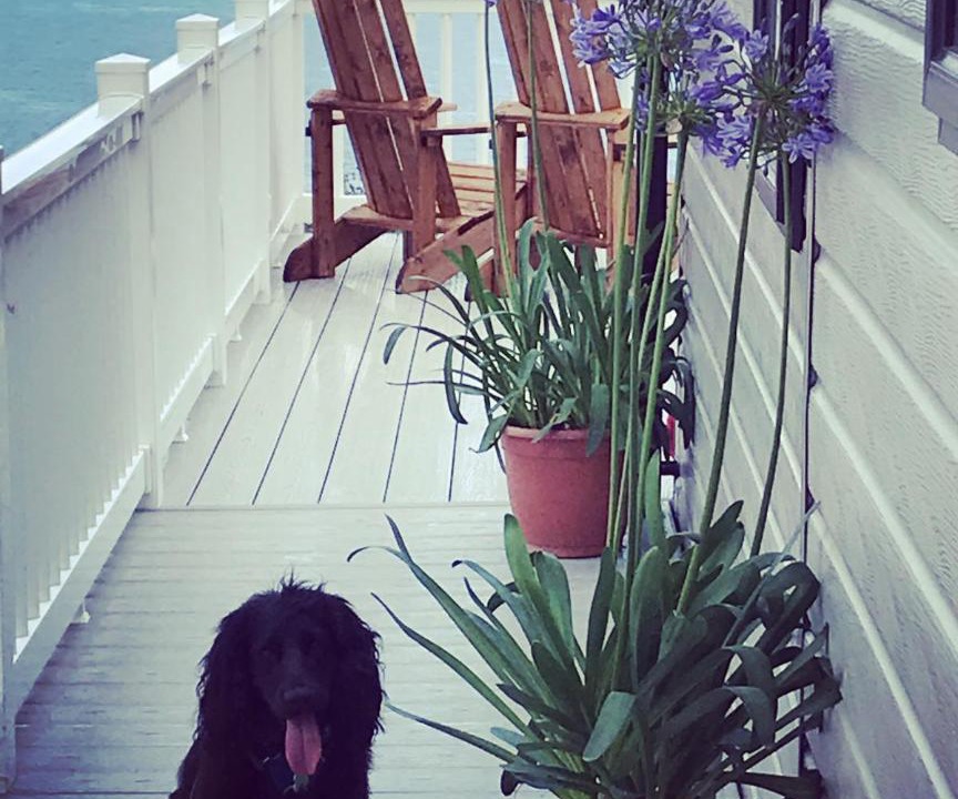 Photo of Patio Balcony in Kimmeridge