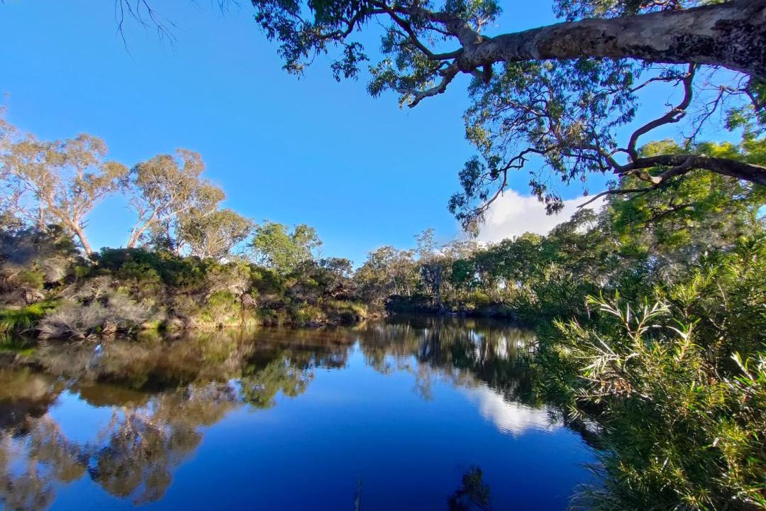 Photo of Others in Glen Aplin