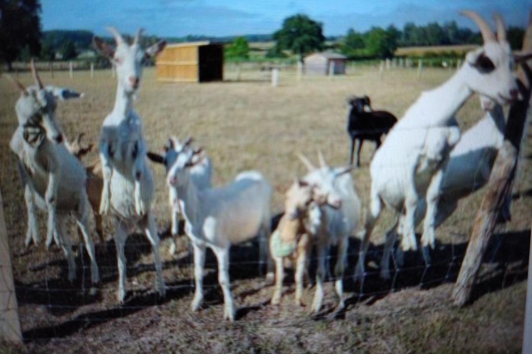 Photo of Others in Cerans-Foulletourte