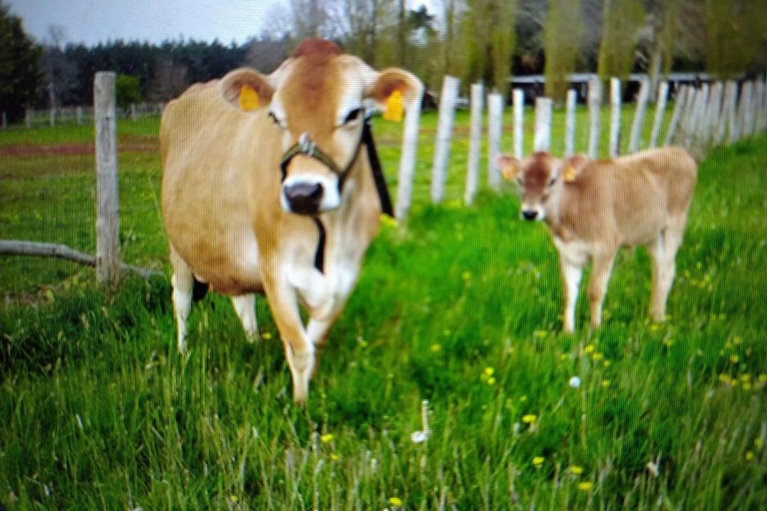 Photo of Others in Cerans-Foulletourte