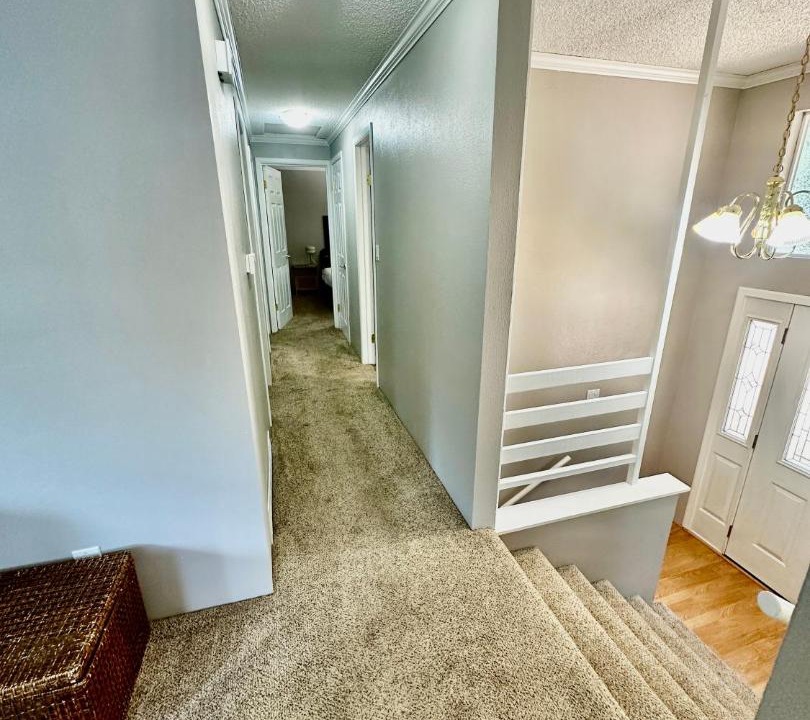 Photo of Others in Federal Way