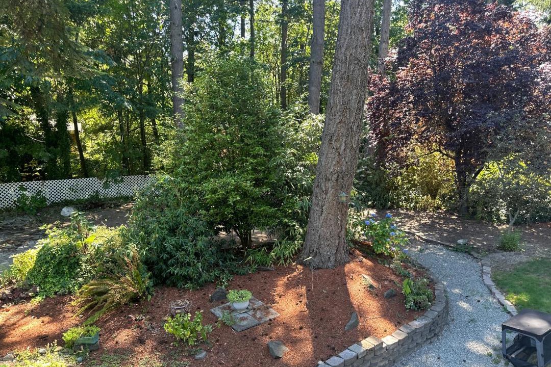 Photo of Others in Federal Way