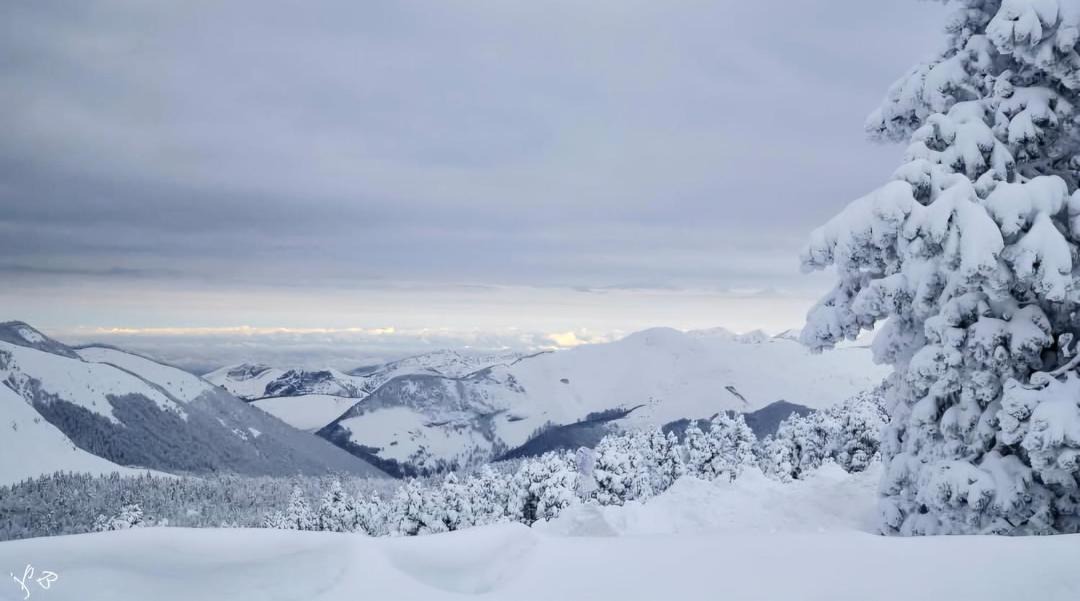 Photo of Others in Poey-d'Oloron