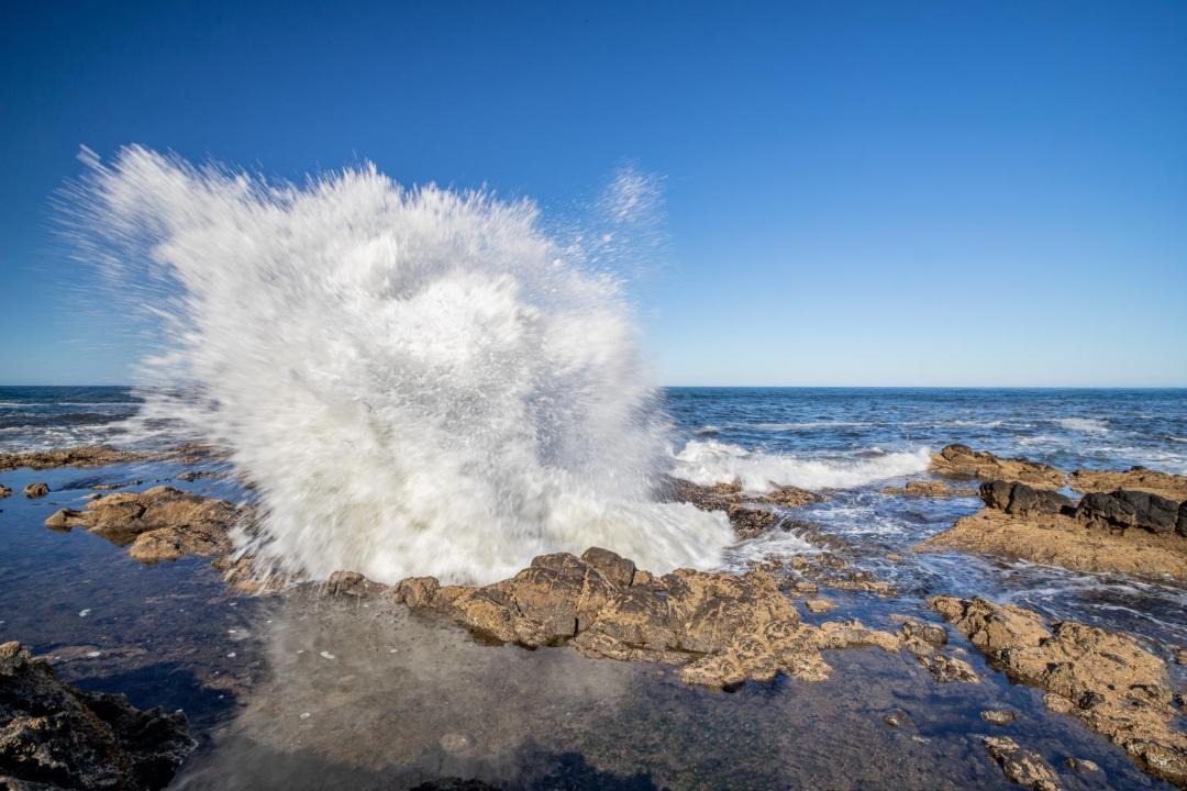 Photo of Others in Yachats