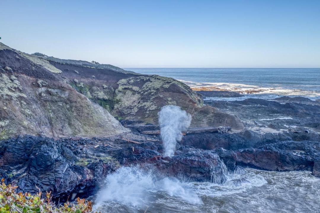 Photo of Others in Yachats