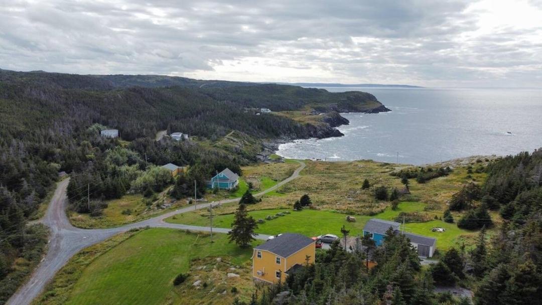 Photo of Others in Grates Cove