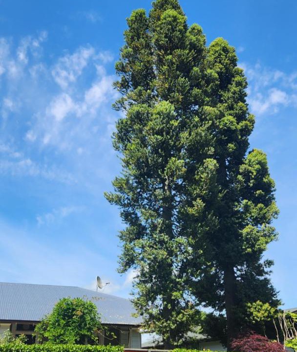 Photo of Others in Leamington