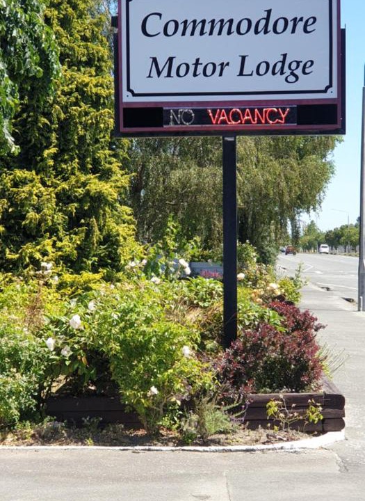 Photo of Others in Ashburton