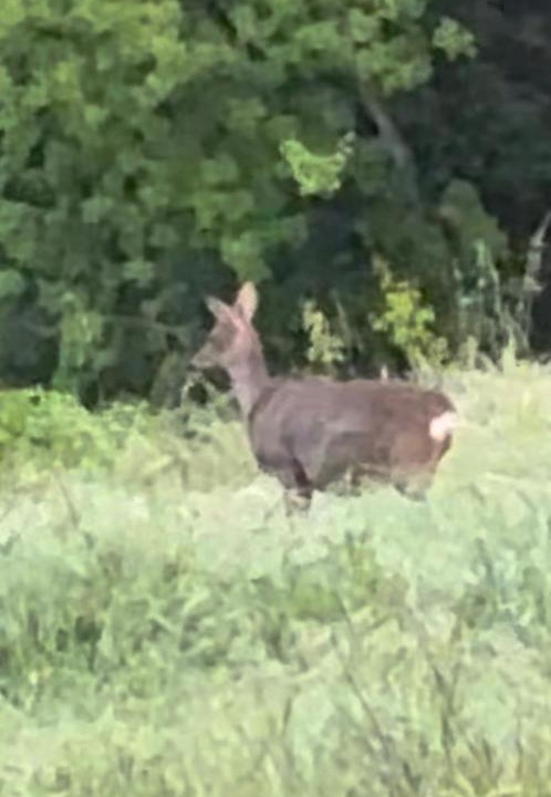 Photo of Others in Vilafreser