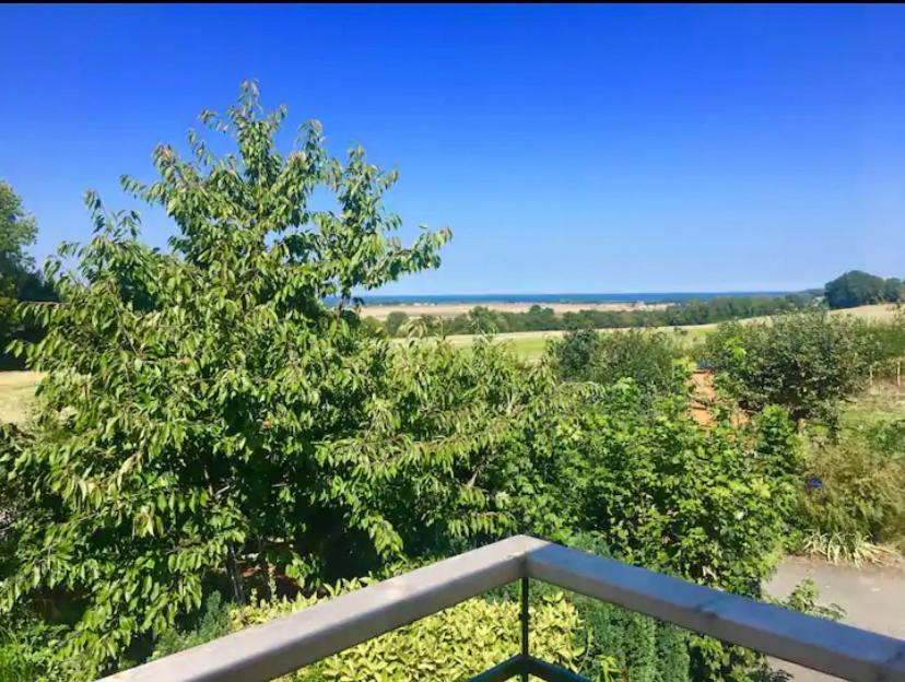 Photo of Others in Bazenville