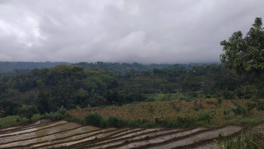 Photo of Others in Kalangbret