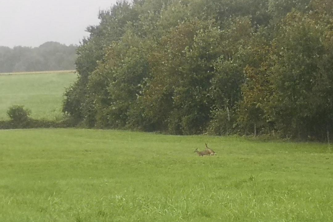 Photo of Others in Sauvigney-les-Pesmes