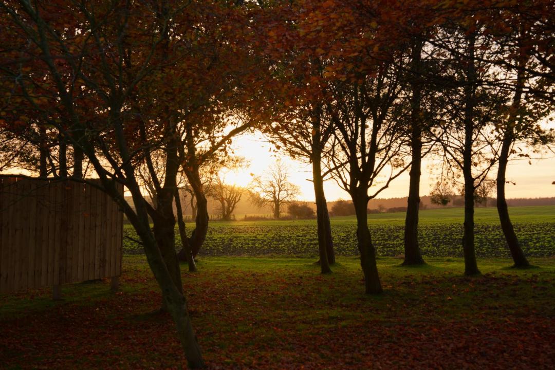 Photo of Others in Wall Houses