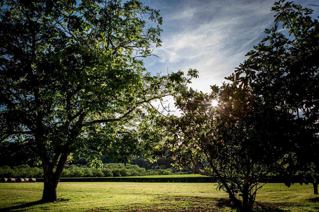 Photo of Others in La Roque-Gageac