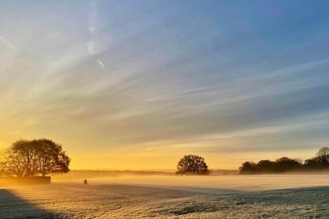 Photo of Others in Goring