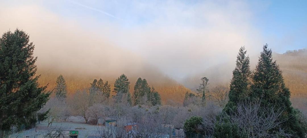 Photo of Others in Revin