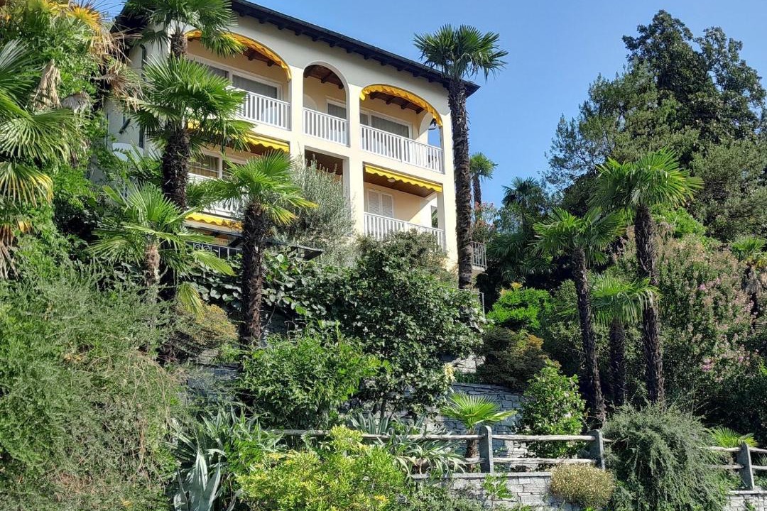 Photo of Others in Locarno
