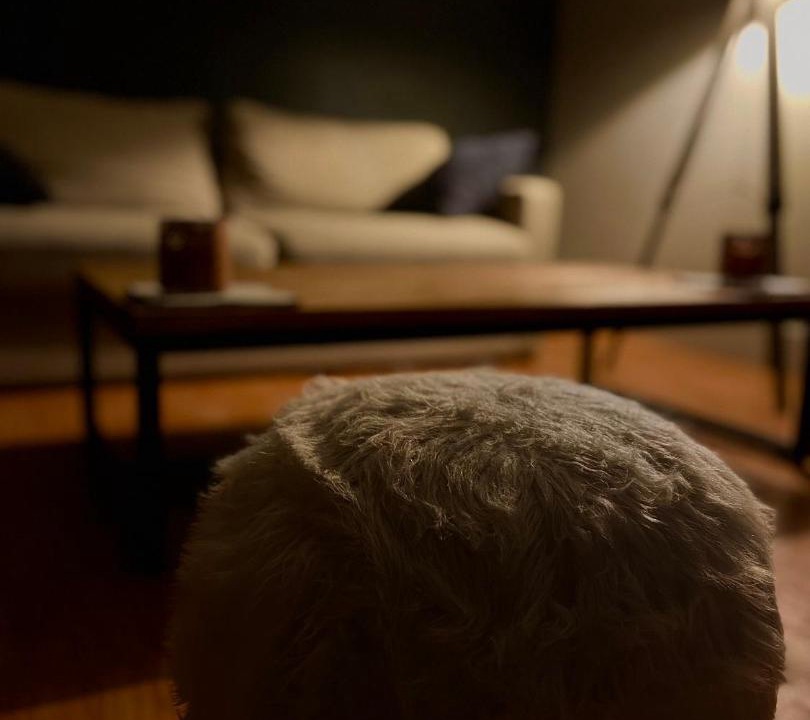 Photo of Others in Bellegarde-sur-Valserine