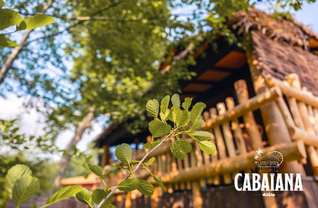 Photo of Others in Dolancourt