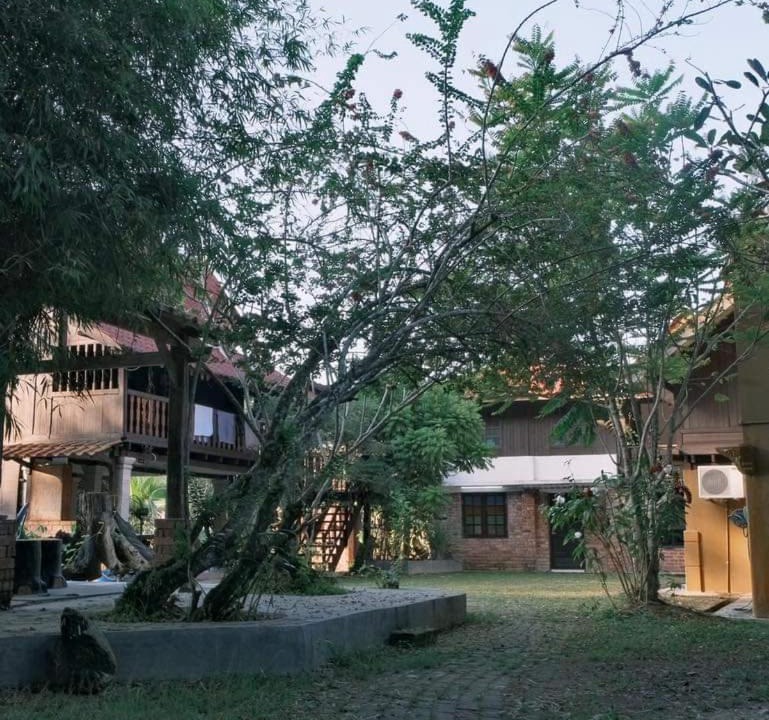 Photo of Others in Karak