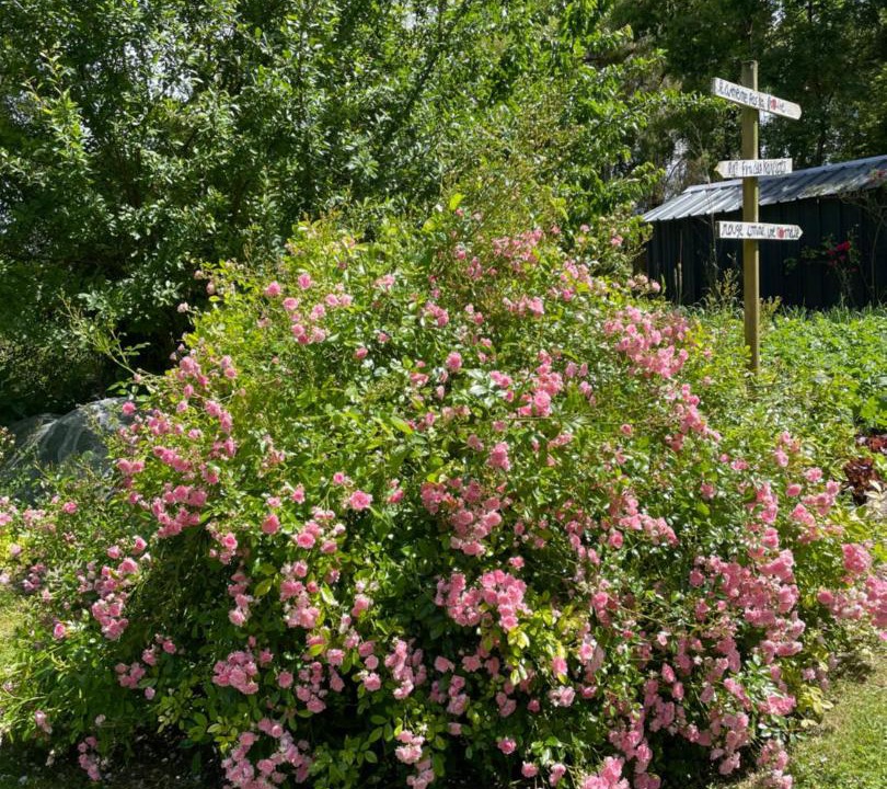 Photo of Outdoor in Rille