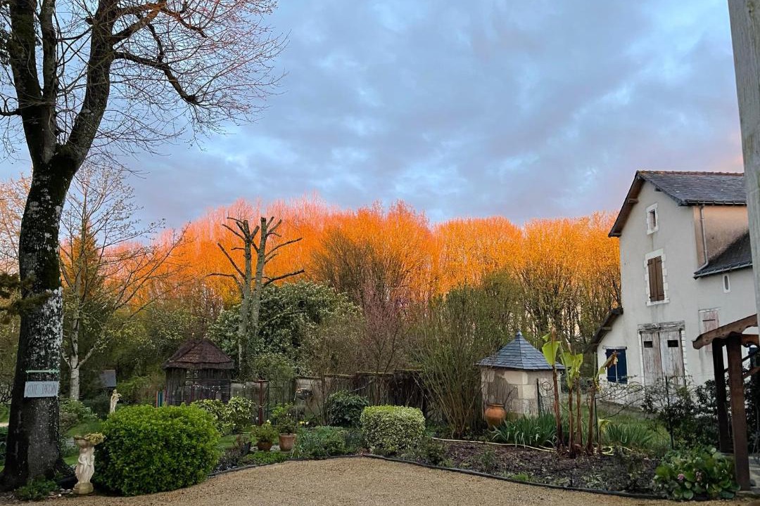 Photo of Others in Rille